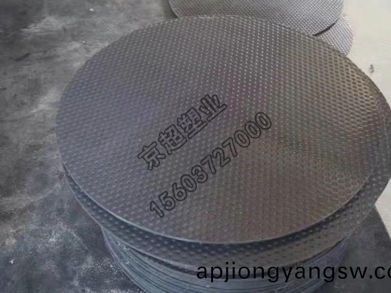 超高(gao)分(fen)子(zi)橋樑支座墊片(pian)