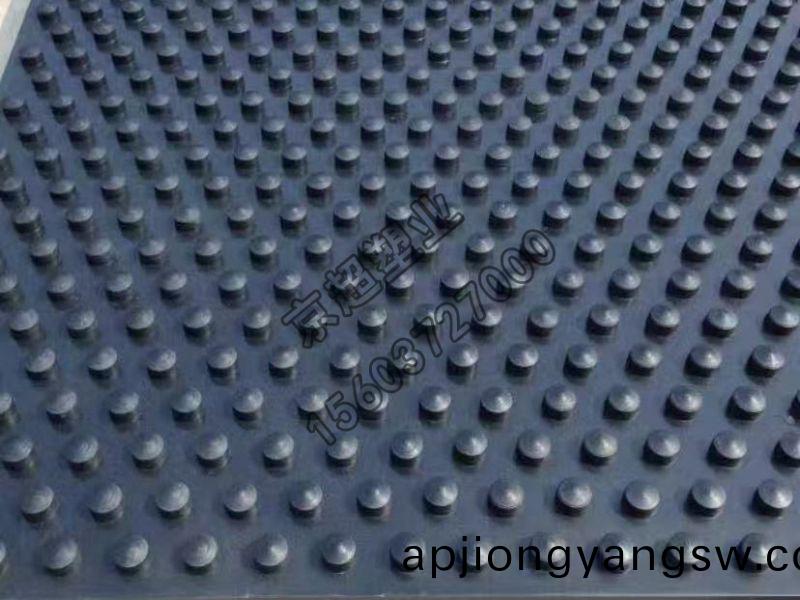 超(chao)高(gao)分(fen)子量聚乙烯造(zao)毬(qiu)盤(pán)襯闆